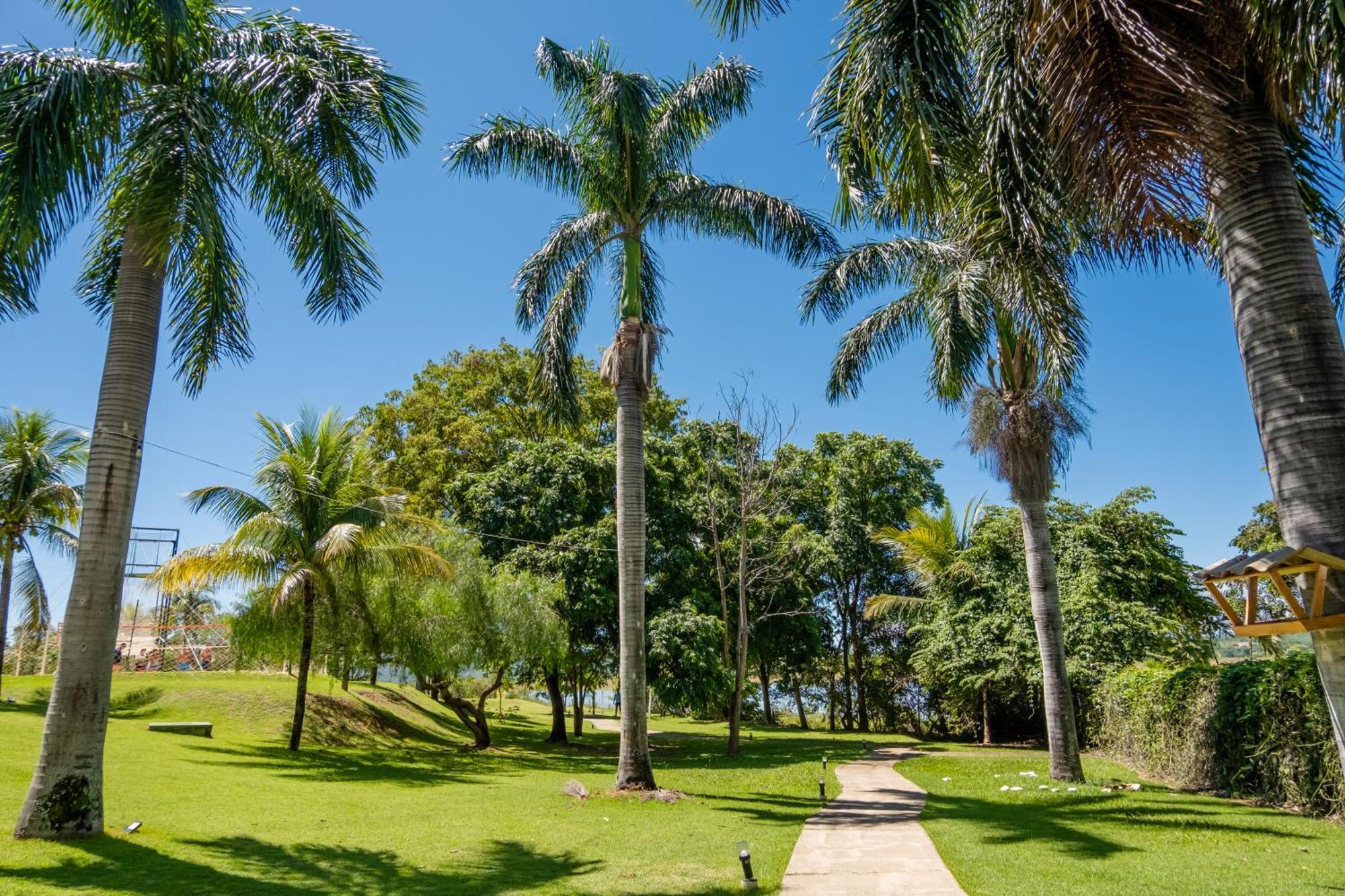 Marina Flat - Oficial *